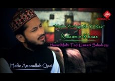Mujhe Zindagi Me Ya Rab | Hafiz Amanullah Qazi | New Munajaat Video | Ramadhan 2016
